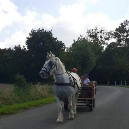 Roulotte A La Campagne Avec Son A * Cabariot