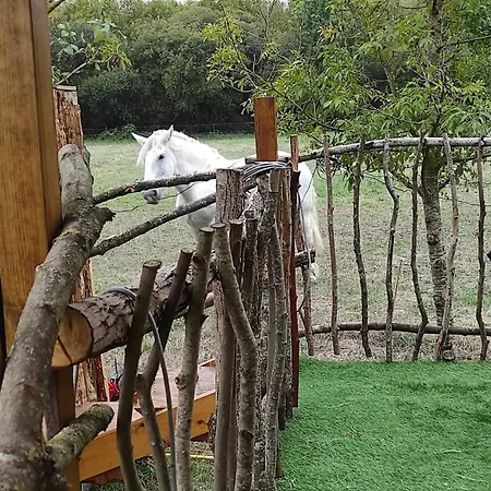 Roulotte A La Campagne Avec Son A Prázdninový dům Cabariot